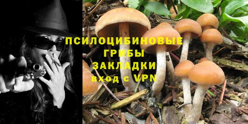 Псилоцибиновые грибы Cubensis  Анадырь 